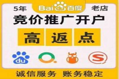 竞价托管SEM的创意与实践：多行业案例集